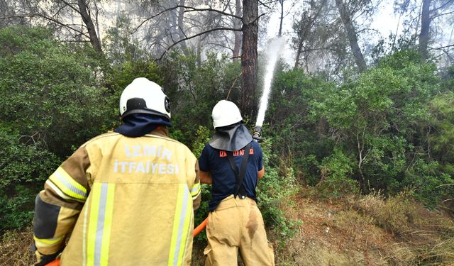 İzmir İtfaiyesi, Menderes'teki yangın için seferber oldu