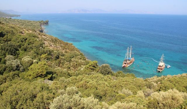 Aydınlı doğaseverlerden çağrı: Milli Parkı hep birlikte korumalıyız