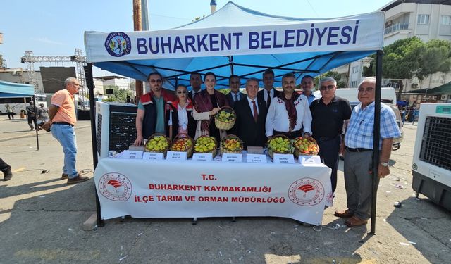 Buharkent'te "Taze İncir Festivali" coşkusu