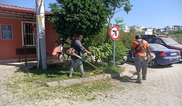 Didim'in yeşil alanlarında yaz mesaisi sürüyor