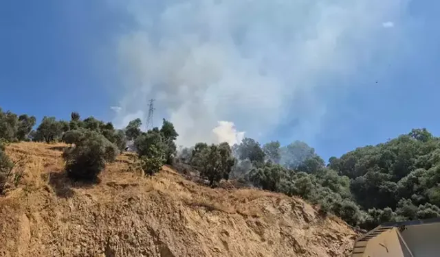 Zeytinlikte çıkan yangın 1,5 saatte kontrol altına alındı, 2 hektar alan zarar gördü