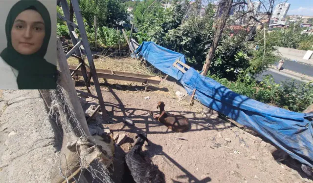 Elektrik faciası yine can aldı: Keçiye dokundu, hayatını kaybetti