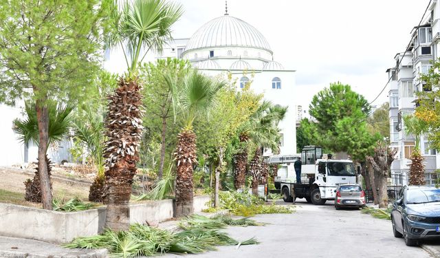 Çiğli'de sonbahar bakımı çalışmaları sürüyor