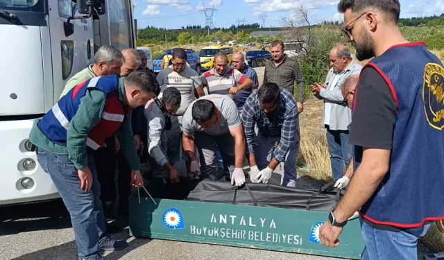 Çöp kamyonunda mesai arkadaşının boğazını kesen zanlının ifadesi kan dondurdu
