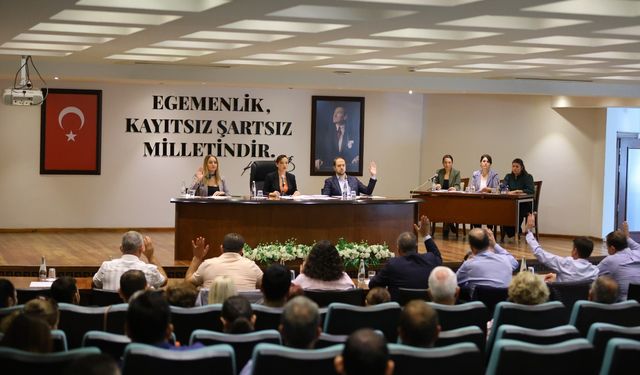 Efes Selçuk'ta otopark krizi meclis gündeminde: Elimizdeki değerler koparılıyor!