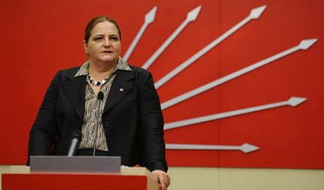 Bihlun Tamaylıgil kimdir, aslen nereli?