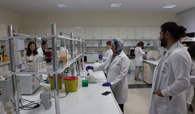 Bor ve kök hücre gücüyle yeni tedavi: STEMBOR tanıtıldı