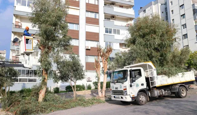 Buca’da ağaç budama seferberliği başladı