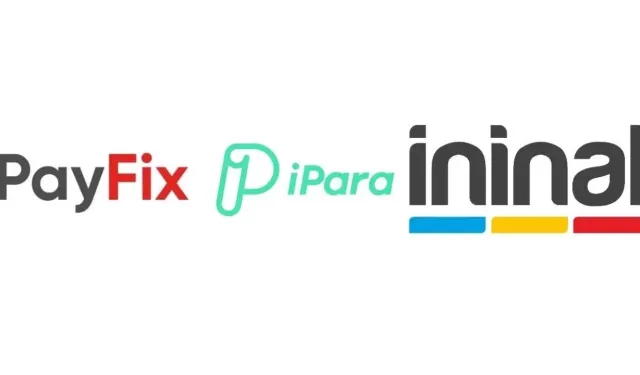 İninal, Payfix ve Aypara'nın faaliyet izni iptal edildi