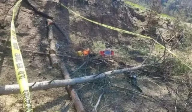 Kestiği ağacın altında kalan işçi yaşamını yitirdi