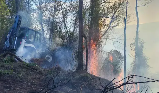 Bahçede çıkan yangın ormana sıçradı!