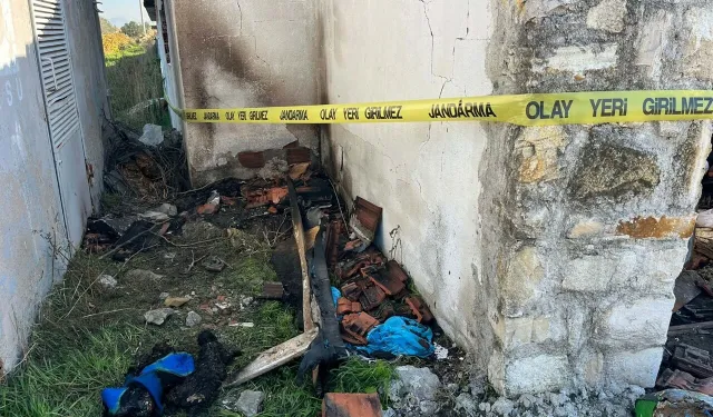 Yangında ölen hayvansever Şule Çörekçi'nin arkadaşları konuştu