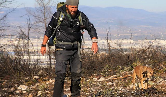 4 yılda 81 ilde fidan dikti