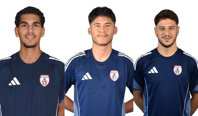 Altınordu'da 3 bilet kesildi