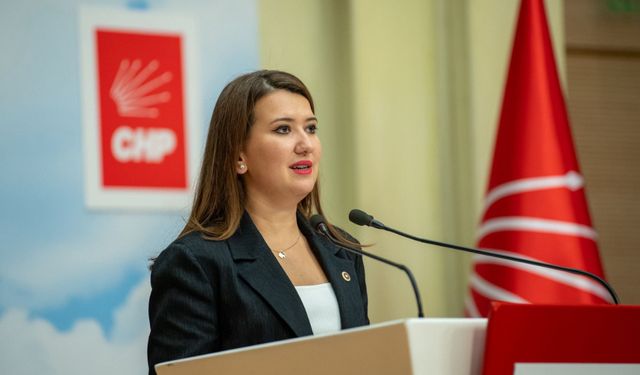 CHP'li Gökçe Gökçen: Bu ülke, nefretin ve zorbalığın ülkesi olmayacak!