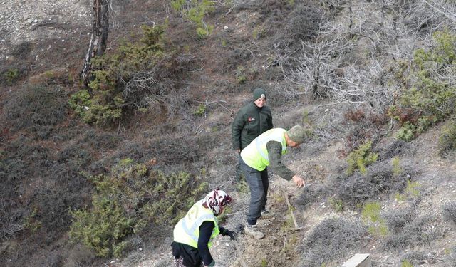 Erozyona karşı doğayla uyumlu çalışmalar yapıldı