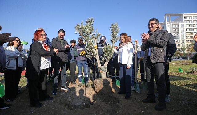 Karşıyaka'da zeytin fidanları toprakla buluştu