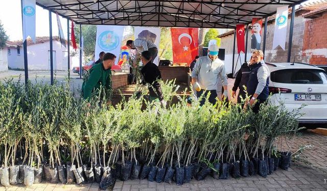 Manisa Büyükşehir'den yangın mağduru üreticilere fidan desteği