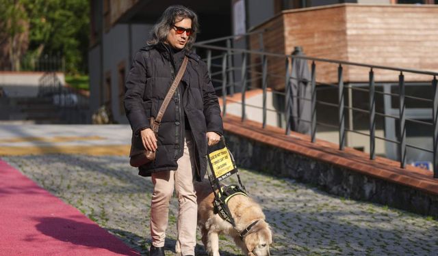 Rehber köpekler iki yıllık eğitimle görme engellilerin yol arkadaşı oluyor