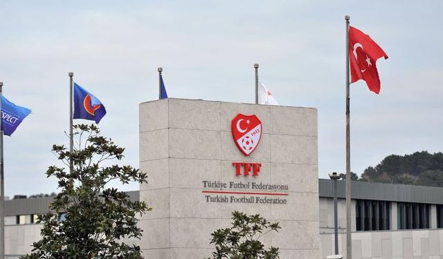 TFF 153 teknik direktörün bahis cezasını açıkladı