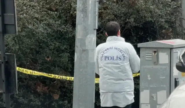 3 çocuk babası 45 yaşındaki adam başından vurulmuş halde ölü bulundu