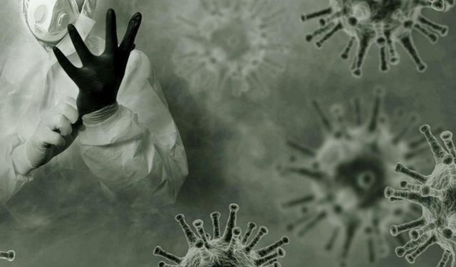 İklim krizi yeni bir sağlık tehdidi yarattı