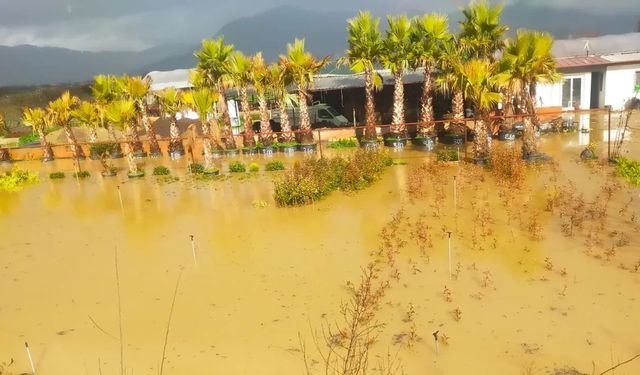 İzmir sağanağa teslim: Yollar ve tarım arazileri sular altında