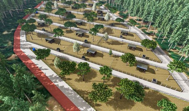 Kemalpaşa'da can dostlar için örnek hizmet: Bakımevi genişletildi, doğal yaşam alanı geliyor