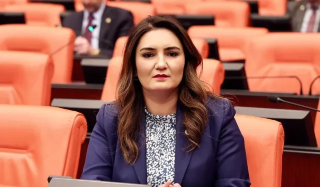CHP'li Kılıç'tan Bakan Işıkhan'a 'şov' yanıtı: "Meclis'te emeklinin onuru için direniyoruz"