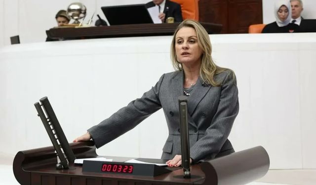 CHP'li Ösen'den 'Efes' çıkışı: Dünya mirası SİT alanında inşaat kabul edilemez!