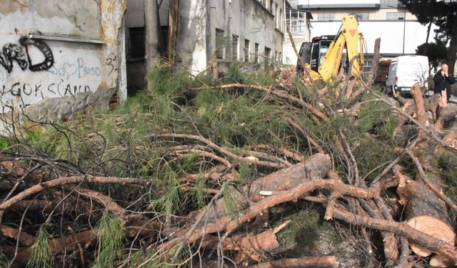 Fırtına İzmir’i vurdu: Ağaç devrildi, yollar su altında kaldı!