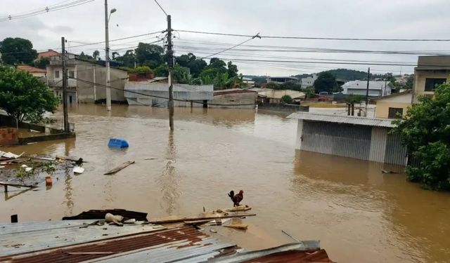 Lo siento Wilson ne demek? Lo siento Wilson olayı ne?