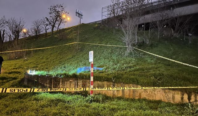 Otoyol altında d*hşet! Erkek c*sedi bulundu