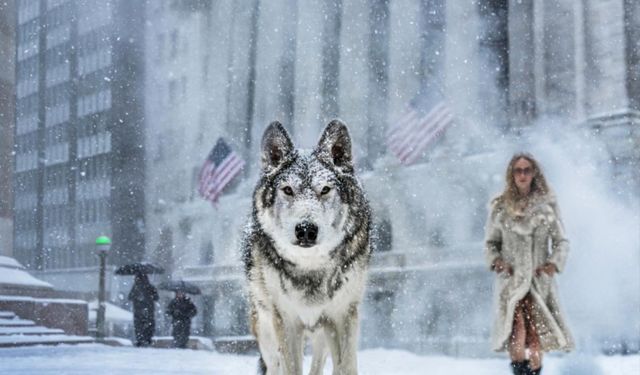 David Yarrow’un “Wall Street Stories” koleksiyonu sanatseverlerle buluştu