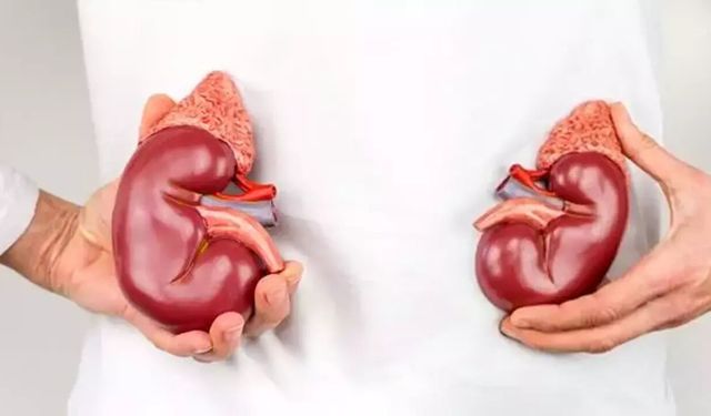 Böbrek hastalıkları sinsi ilerliyor: Her 10 kişiden biri risk altında