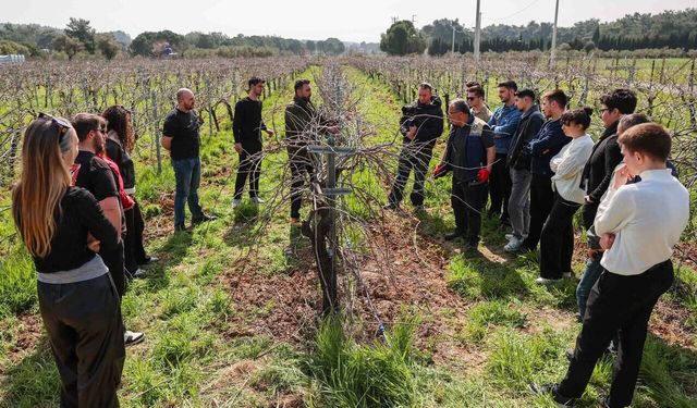 Buca Belediyesi’nin üzüm bağları eğitim yuvasına dönüştü