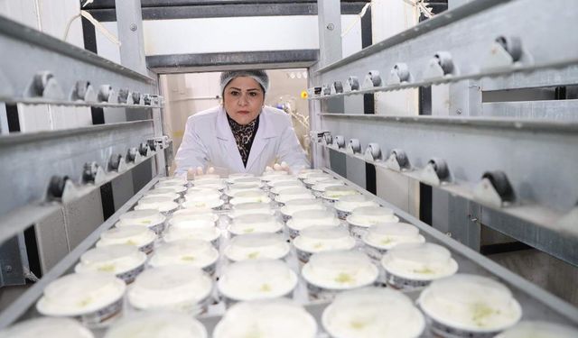 Devlet desteğiyle kendi markasını kurdu