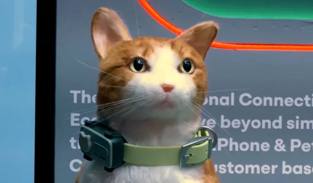 Evcil hayvanlar için ilk akıllı telefon tanıtıldı