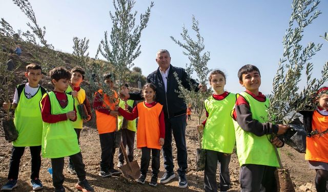 Güzelbahçe’de bin zeytin fidanı toprakla buluştu