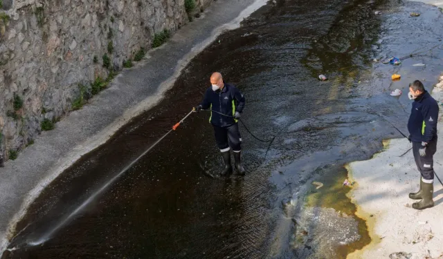 İzmir Büyükşehir Belediyesi vektörle mücadeleye devam ediyor