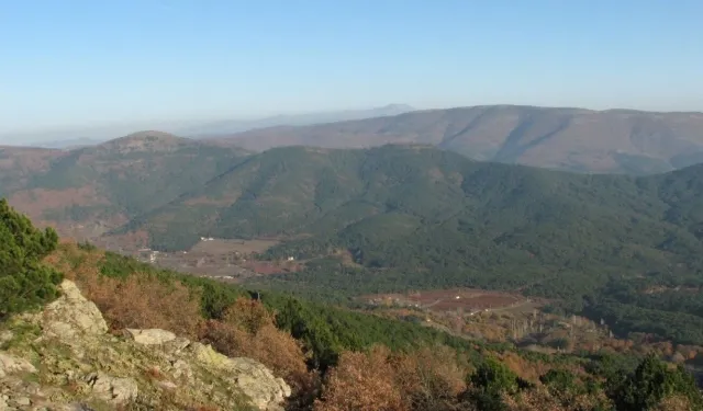 CHP’li Karakülçe’den Kemalpaşa'da orman vasfından çıkarılan alana TOKİ iddiası