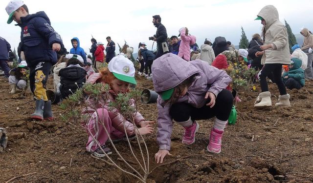 İzmir’de orman haftasında 100 bin fidan toprakla buluştu