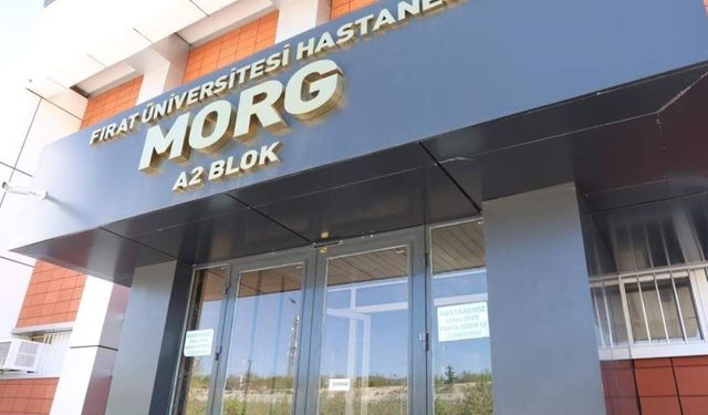 Oğlunu bıçaklayan kişiyi av tüfeğiyle öldürdü