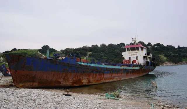 Şebnem Bursalı'dan gemi sökümü yapan firmaya tepki
