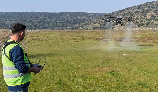 Sivrisinek ve zararlılara karşı İzmir modeli