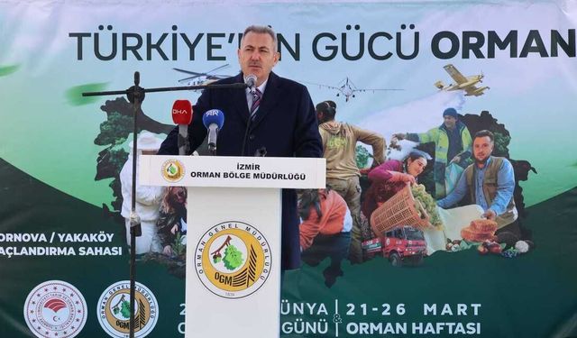 İzmir’de yangından zarar gören alanlar yeniden yeşeriyor