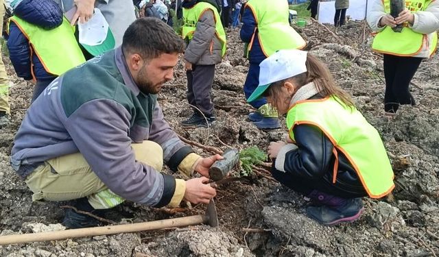 Yanan ormanlar yeniden yeşeriyor: Aliağa’da fidanlar umut oldu