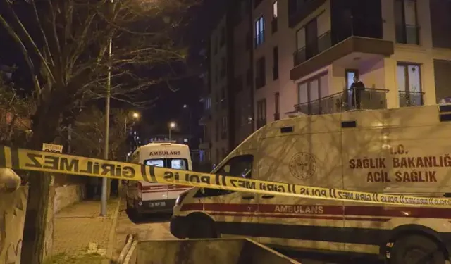 Annesi ve ağabeyini silahla öldürdü