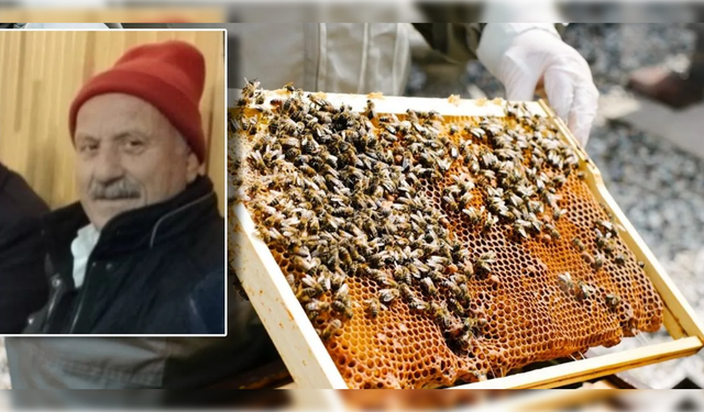 Boğazından arı sokan şahıs kurtarılamadı