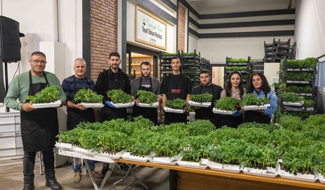 Bornova'da 382 bin fideyle yaz bereketi başlıyor